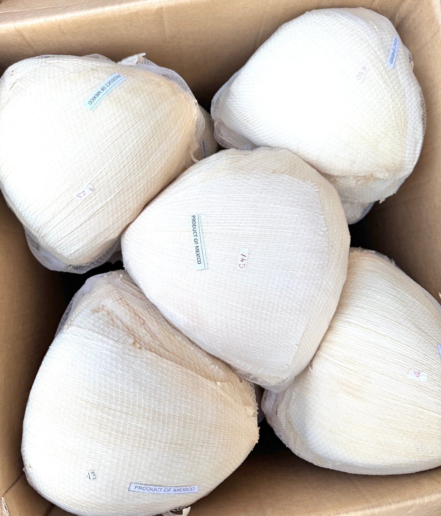 Hojas para tamales en paquete malla corazon wrap balon seca dry corn husk 120 pcs count
