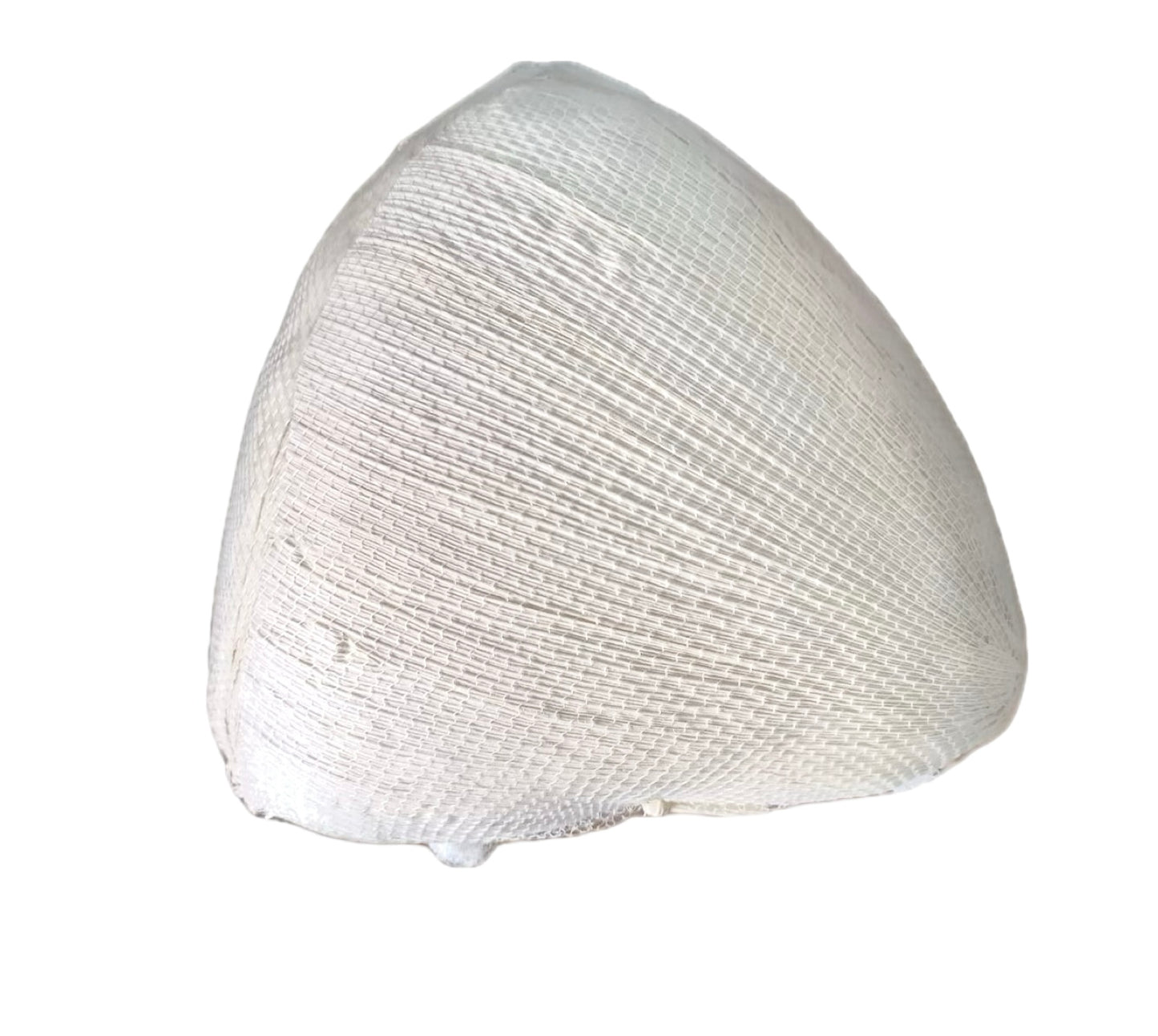 Hoja para tamal en corazon seca 120 pcs