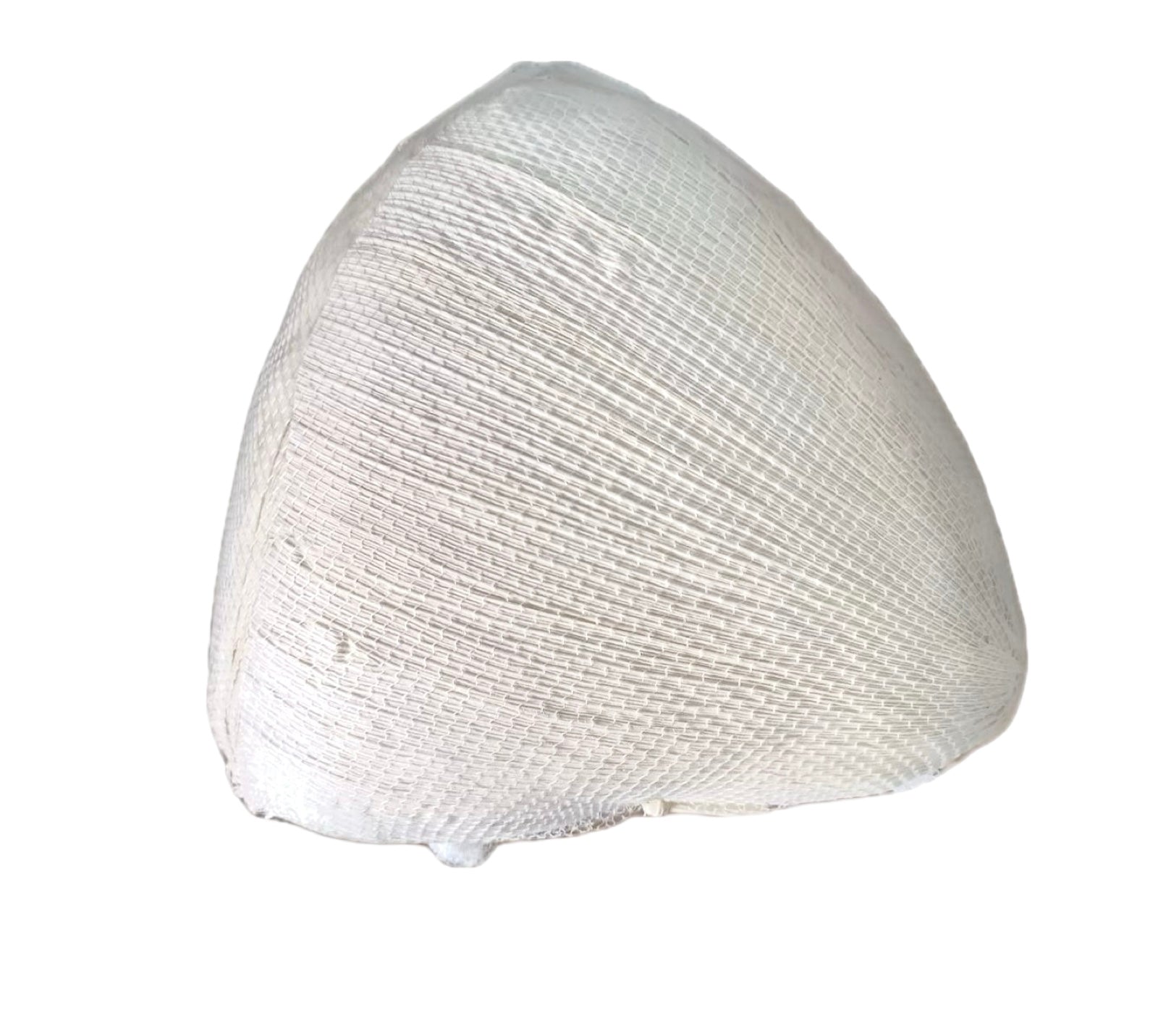 Hoja para tamal en corazon seca 120 pcs